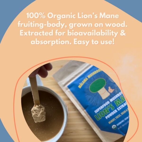 Paquete de 100 gramos de polvo melena de león Malama