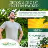 Paquete de las 1000 tabletas de Chlorella orgánica Sunlit Best