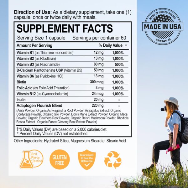 Paquete de 12 cajas NANOWELL B Complex Premium