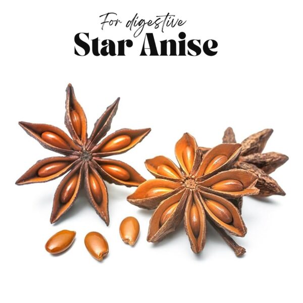 Paquete 2 botellas suplemento balance cándida OLANTA