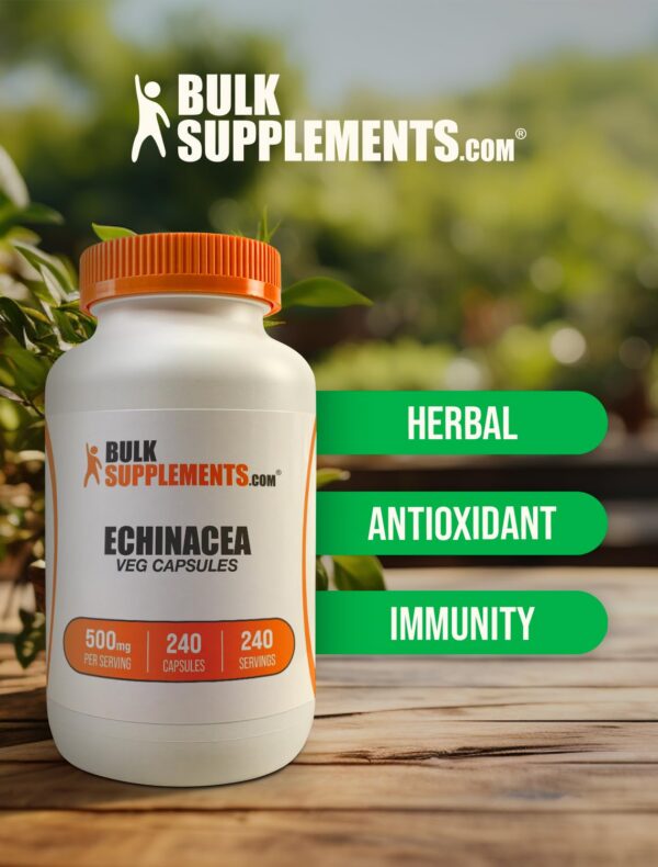 Paquete de 240 cápsulas de extracto echinacea 500mg BulkSupplements