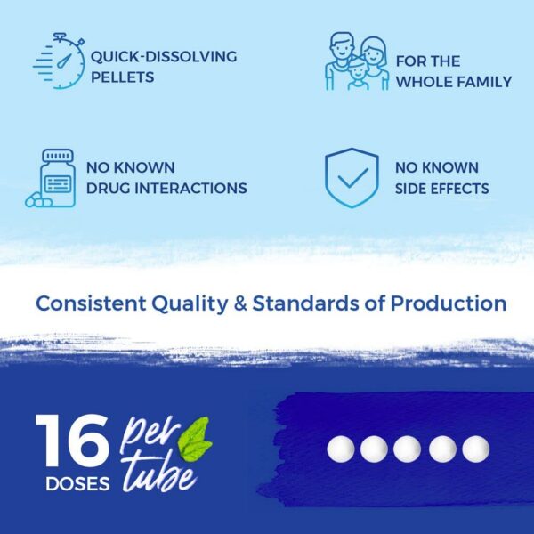 Boiron Equinácea 4X paquete de 80 pellets para fatiga y garganta