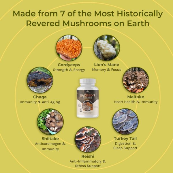 Paquete de 90 cápsulas vegetarianas Naturealm Sacred 7 hongos