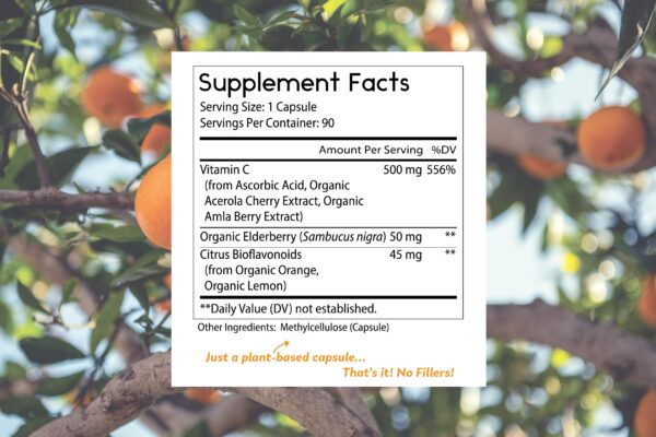 Version 1.0.0 Paquete de cápsulas naturales para salud y belleza de la piel