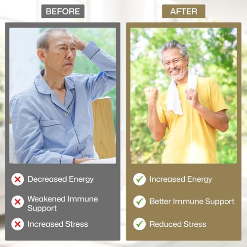 Paquete completo de suplementos Vita Green para bienestar y desintoxicación