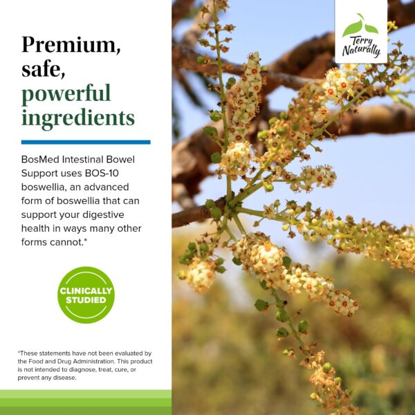 Terry Naturally BosMed 60 softgels complemento natural intestino