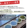 Paquete especial de té verde japonés puro de alta calidad