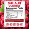 Version 1.0.0 Paquete y etiquetas gomitas shilajit máxima potencia 60 unidades