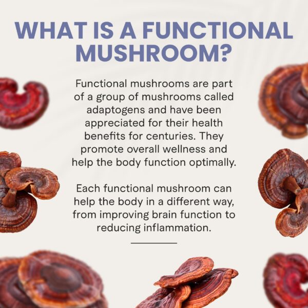 Paquete de gomas Charlotte's Web con Ashwagandha y Rhodiola