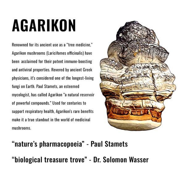 Paquete gominolas adaptogénicas nootrópicas Power-Ups 60