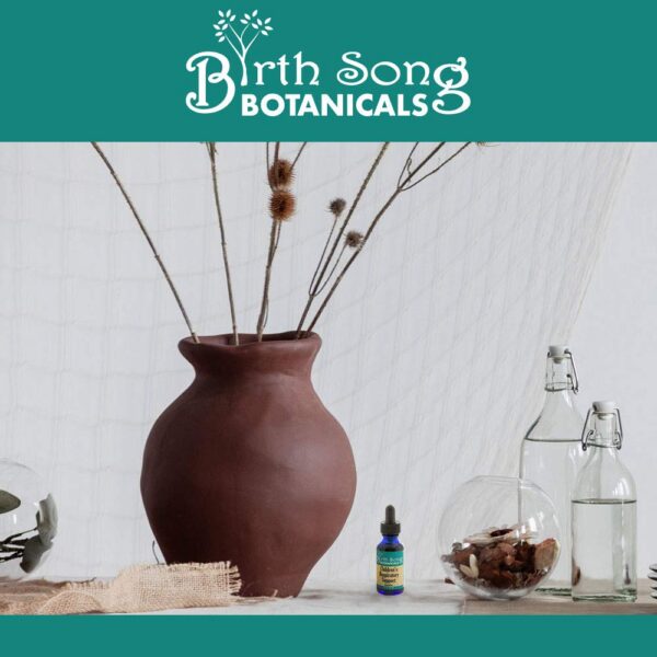 Version 1.0.0 Paquete suplemento herbal Birth Song Botanicals saúco