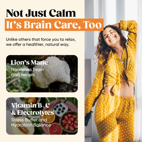 Paquete de suplemento en polvo calmante Venture Pal para relajación