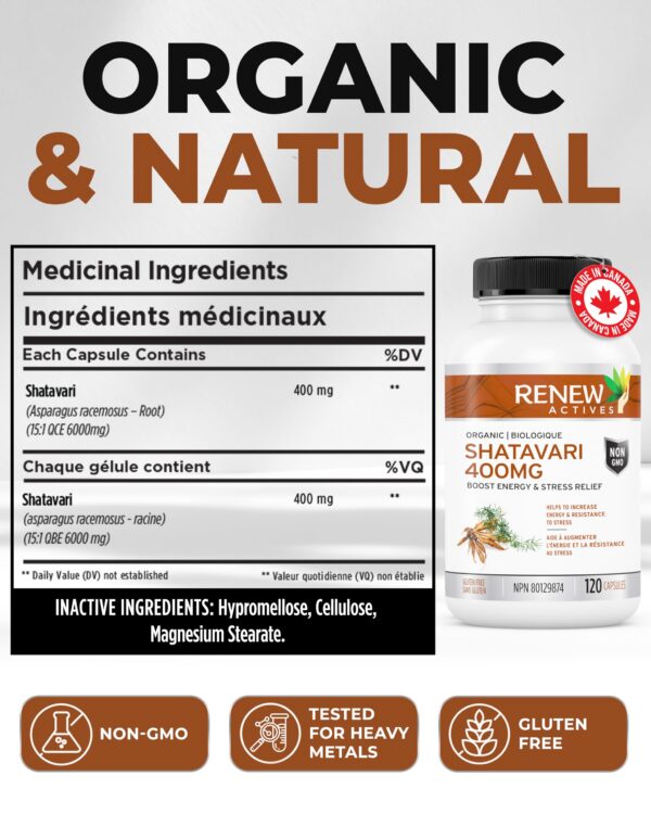 Version 1.0.0 Paquete de suplemento Shatavari ayurvédico renewable activos