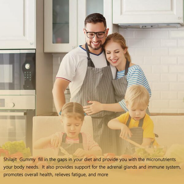 Paquete trasero gomitas Shilajit Himalaya WISHSPARK