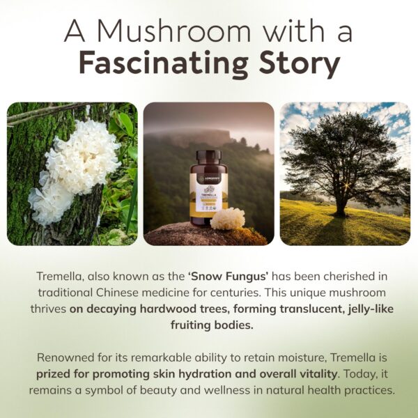 Paquete único cápsulas extracto Tremella 120 Longevity Botanicals