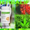 Paquete único té natural guaraná Herbalife 2.1 onzas