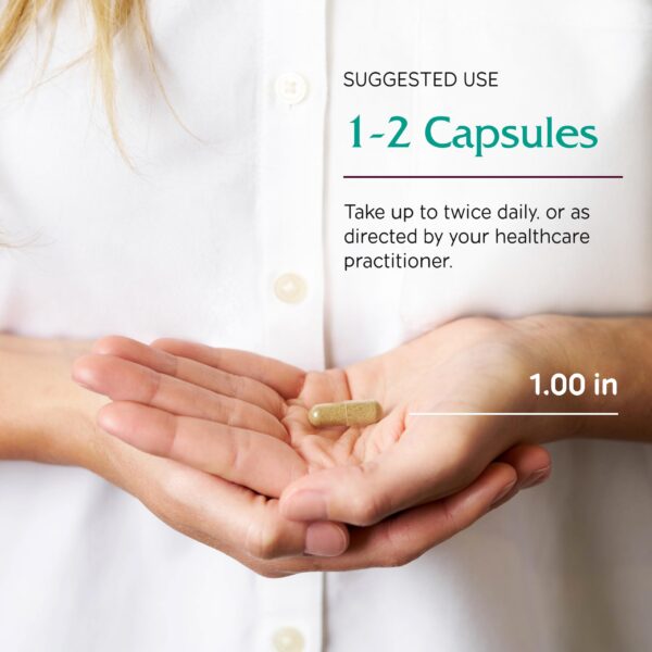 Paquete de Vitanica LactationBlend para mayor flujo leche materna