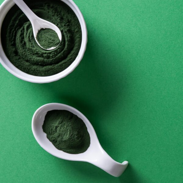 Paquete Yupik polvo de chlorella 8.8 onzas empaque variable