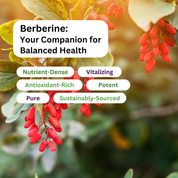 Frasco berberina Paradise Herbs cápsulas