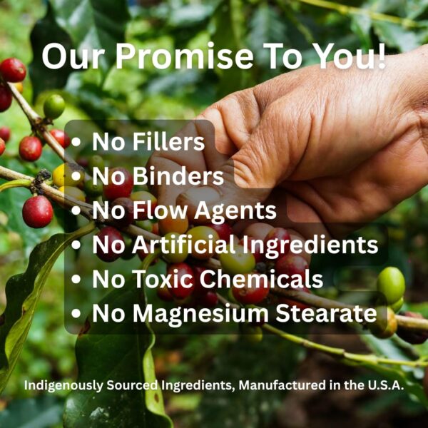 Version 1.0.0 Presentación de 90 cápsulas sin gluten