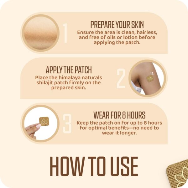 Parches B12 Plus Naturals Himalaya individual