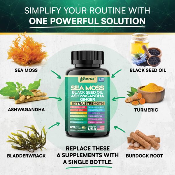 Version 1.0.0 Envase Parrox Sea Moss con etiqueta visible