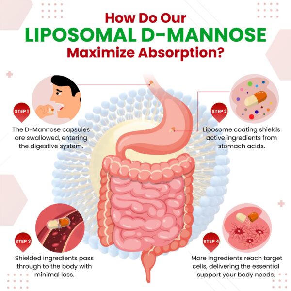 Parte trasera caja VITAL HERBAL D-mannosa liposomal