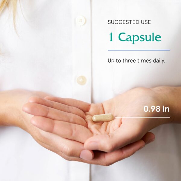 Parte trasera del envase de Rauwolfia Extra Vitanica 90 cápsulas