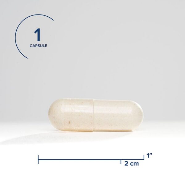 Pastilla Seeking Health PQQ con 20 mg de PQQ antioxidante para cerebro