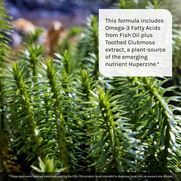 Version 1.0.0 Pastillas nootrópicas para memoria y concentración Irwin Naturals