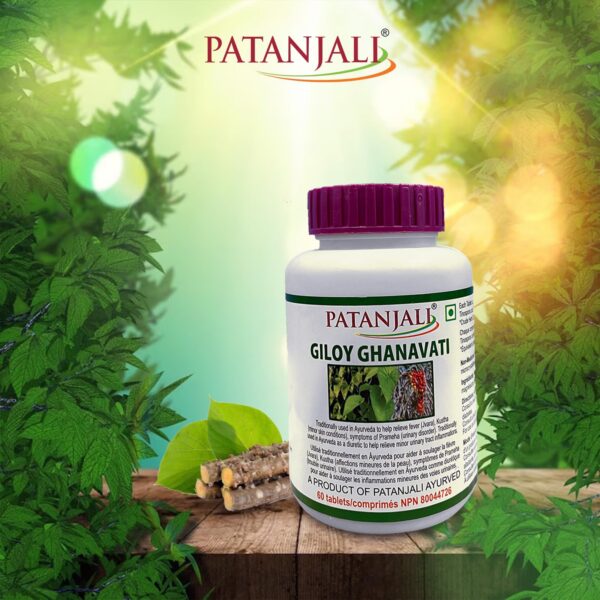 Paquete de Patanjali giloy ghanvati
