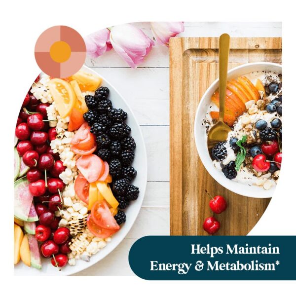 Listado de ingredientes Pattern Wellness