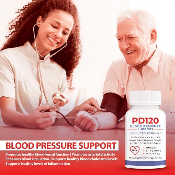 Interior de la caja PD120