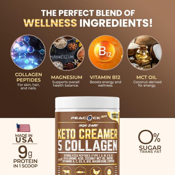 Version 1.0.0 Caja y diseño Peacock Max