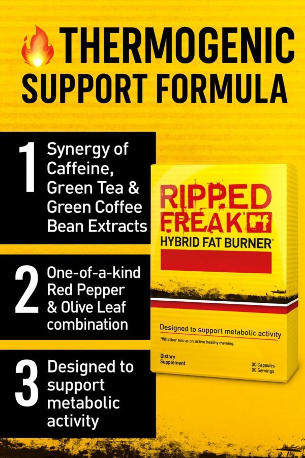 Logo y diseño de la marca