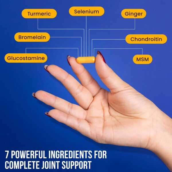 Version 1.0.0 Etiqueta del producto Physio Flex Pro