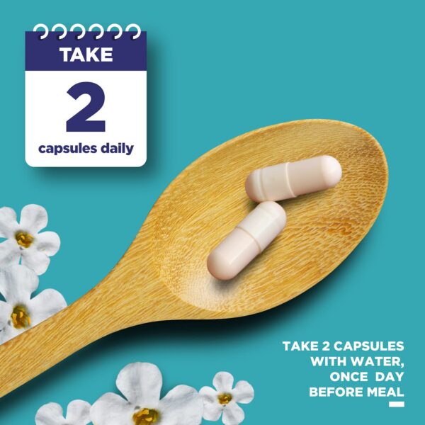 Version 1.0.0 Vista lateral del frasco Phytoral