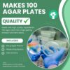 Placas Petri usadas para cultivo con mezcla premix agar