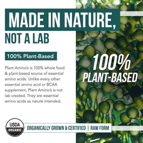 Frasco y botella de Plant Aminos