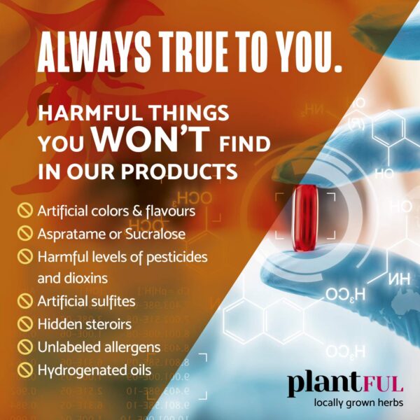 Frasco Plantful Thyroid con empaque