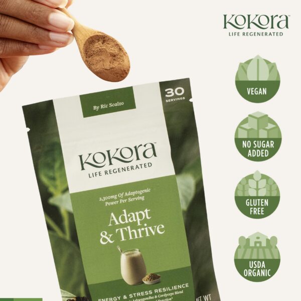 Polvo adaptógeno kokora energético estrés saludable