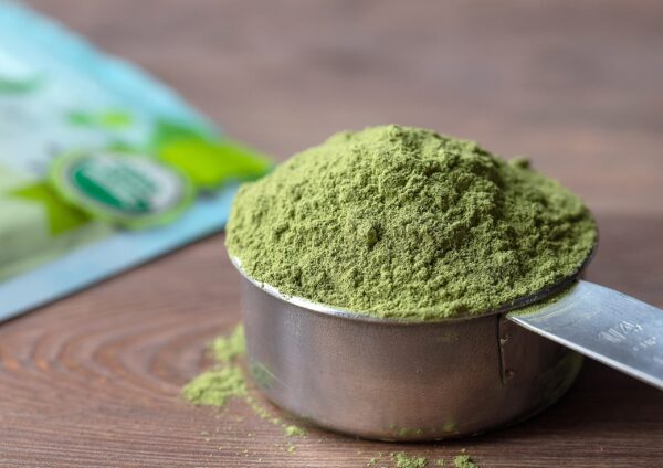 Polvo de alfalfa Food to Live en envase transparente