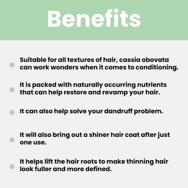 Polvo aloe vera natural para mascarillas y champús