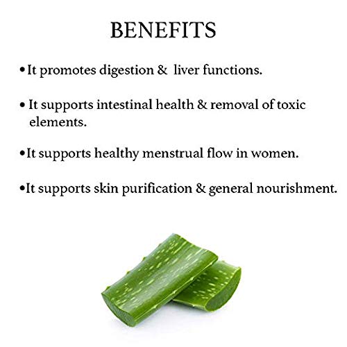 Version 1.0.0 Polvo de aloe vera natural no GMO de Bixa Botanical