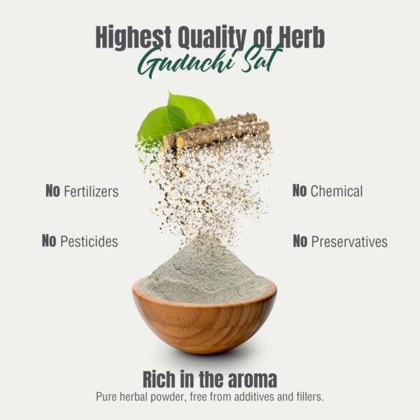 polvo ayurveda herbsforever tinospora cordial equilibrante