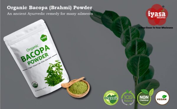 Polvo Bacopa orgánico para uso diario natural