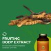 Polvo de Cordyceps para inmunidad