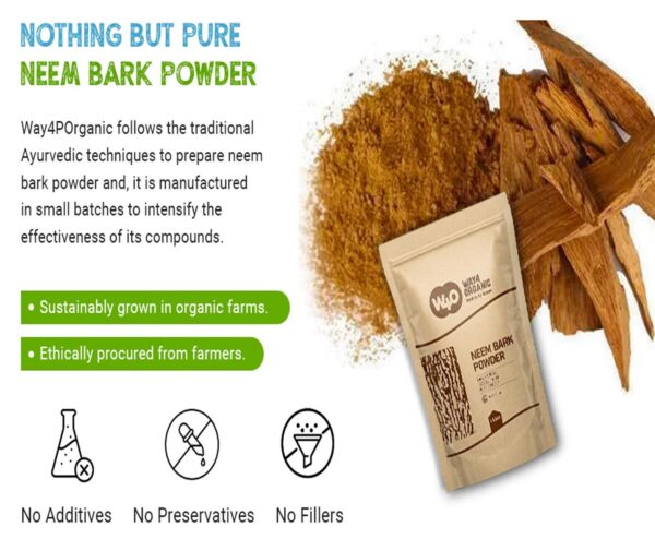 Polvo natural oso polvo dental para uso casero