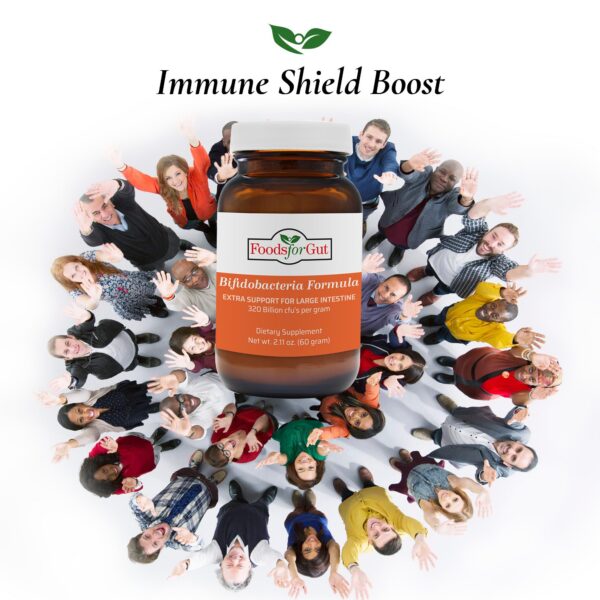 Version 1.0.0 Polvo digestivo Foods For Gut hecho en USA sin aditivos ni GMO