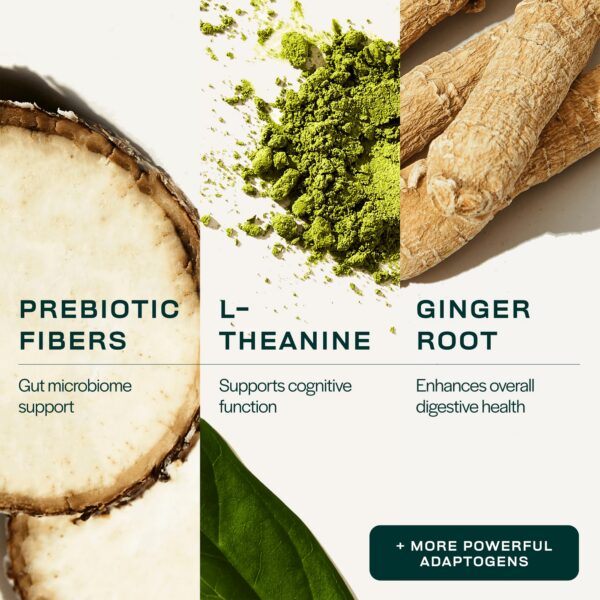 Polvo para enfoque y energía Gainful Daily Performance Greens